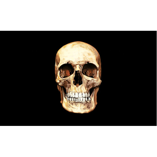 Σημαία Πειρατική Ν28