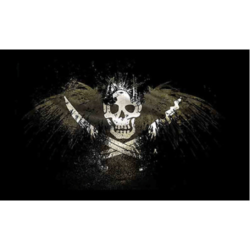 Σημαία Πειρατική Ν26