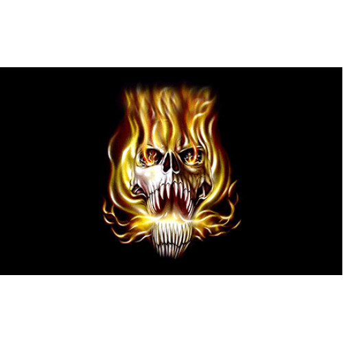 Σημαία Πειρατική Ν31