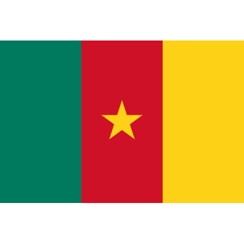Σημαία Καμερούν