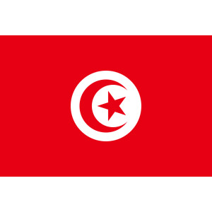 Σημαία Τυνησίας