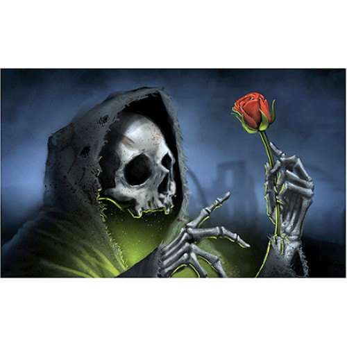 Σημαία Πειρατική Ν41