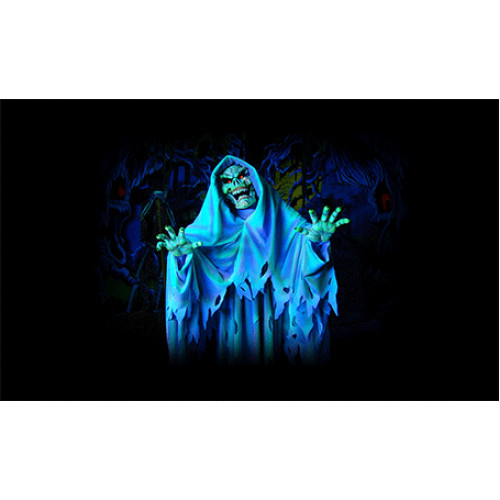 Σημαία Πειρατική Ν45