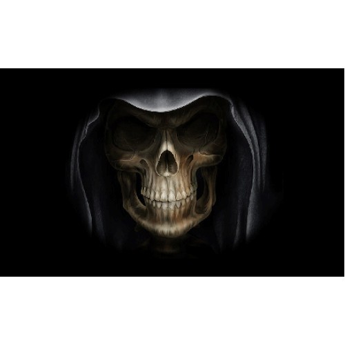 Σημαία Πειρατική Ν48