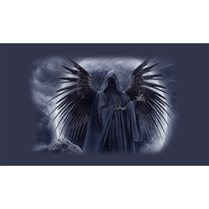 Σημαία Πειρατική Ν50